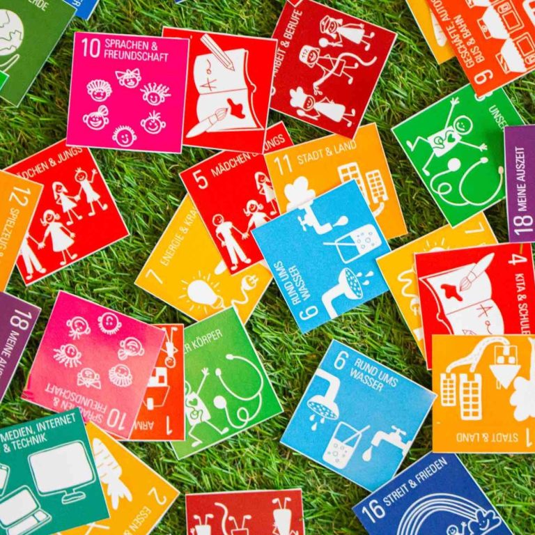 BNE Memory-Spiel Die 20 BNE-Erlebniswelten als bunte Memory-Spielkarten mit verschiedenen Symbolen und Illustrationen auf grünem Gras.